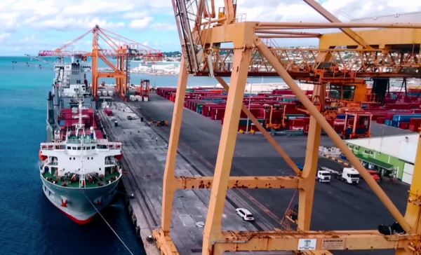 Crane Safety Case Study: Industrial Crane Accident a Worker Dead Hit by Crane Bucket