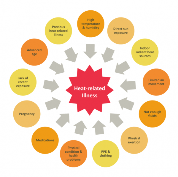 Heat-stress illness factor