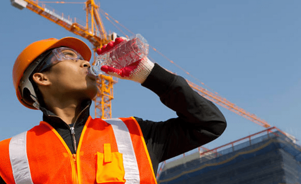 Understanding TWL and WBGT Heat Stress Indices