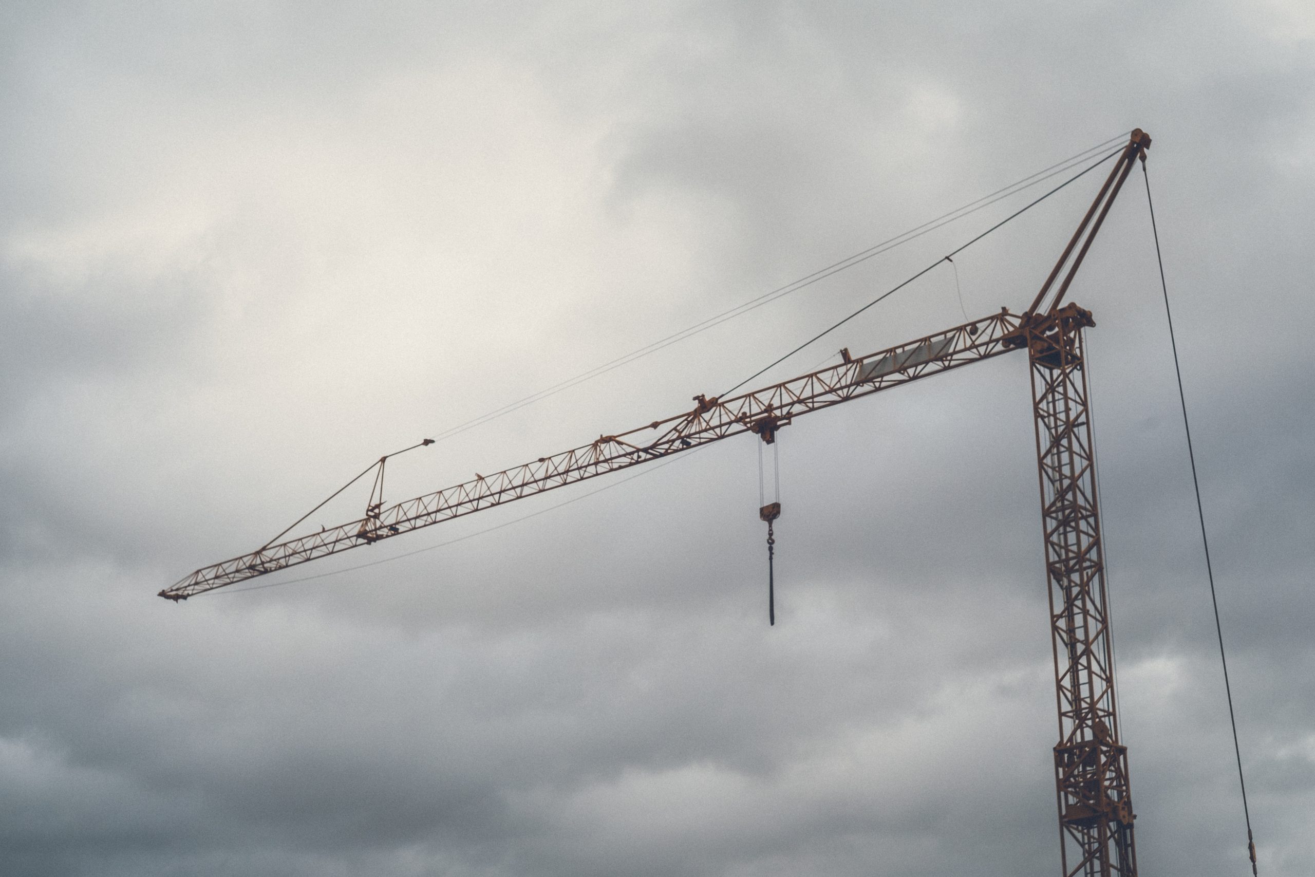 A Crane in a Gloomy Weather